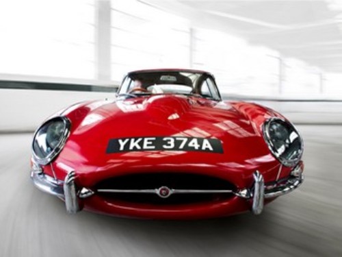 Jaguar  50-    